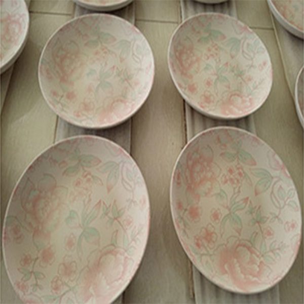 two color ceramic plates_dishes_bowl pad printing machine 3